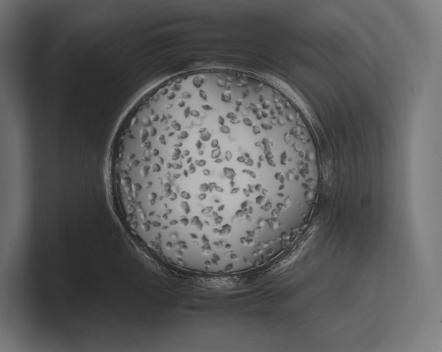 X0000100231149200806201438