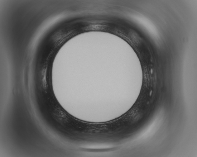 X0000100231150200806201438