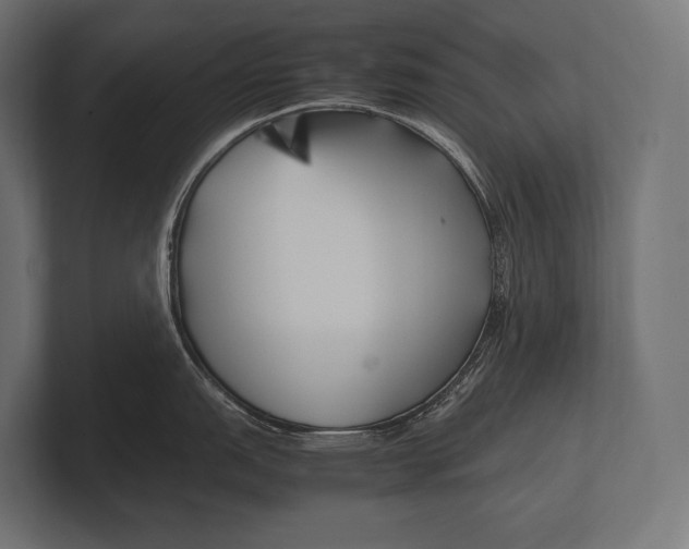 X0000100231151200806201438