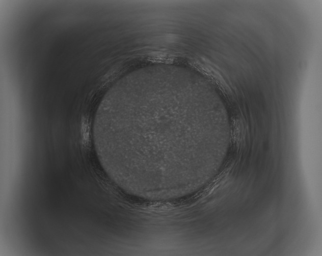 X0000100231154200806201438