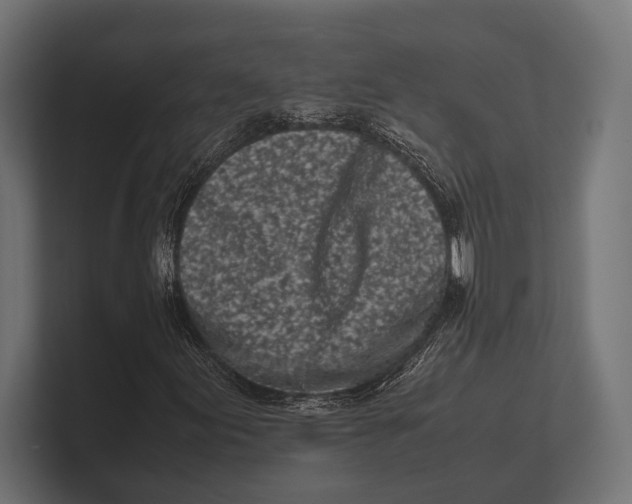 X0000100231155200806201438