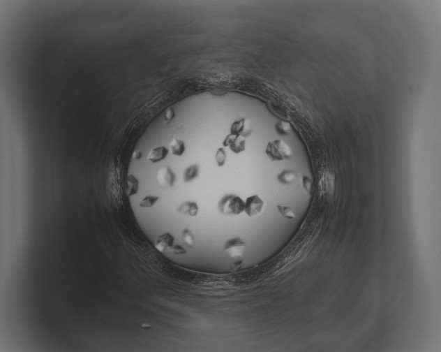 X0000100231156200806201438