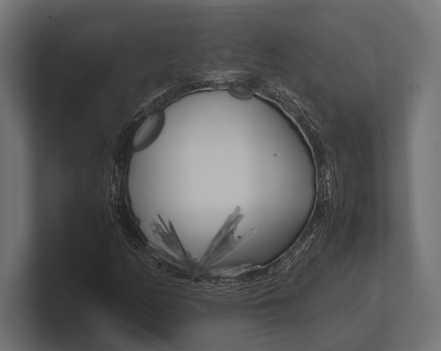 X0000100231158200806201438