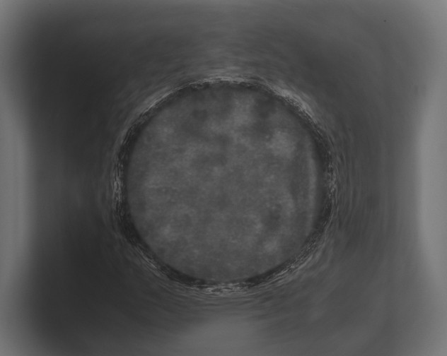 X0000100231159200806201438