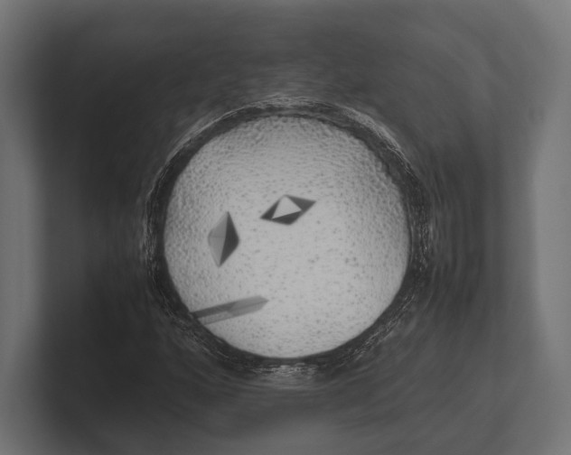 X0000100231160200806201438