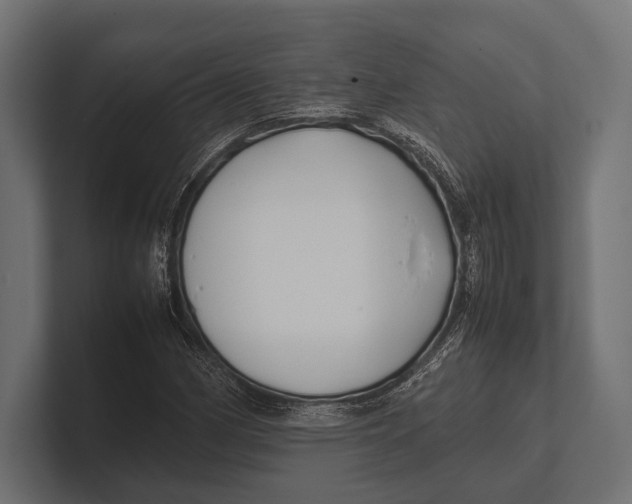 X0000100231162200806201438