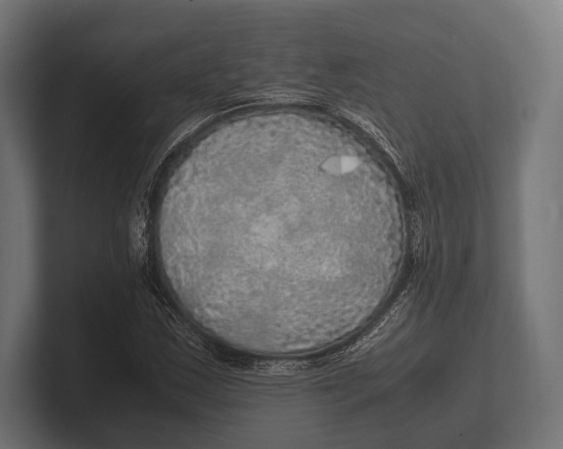 X0000100231163200806201438