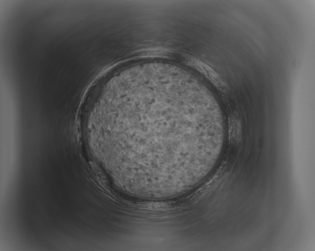 X0000100231164200806201438