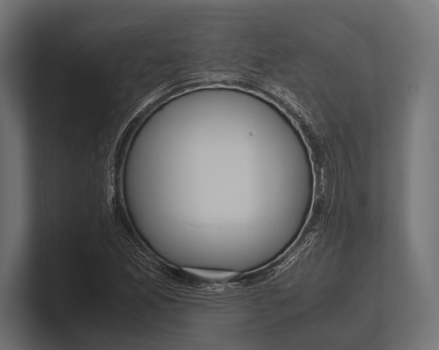 X0000100231165200806201438