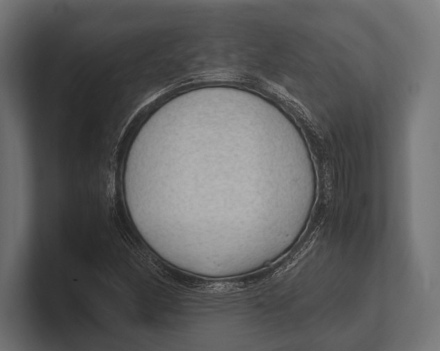 X0000100231166200806201438