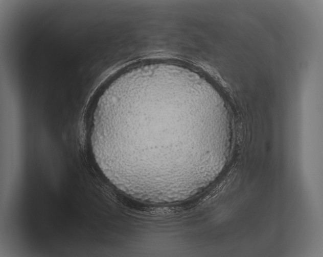 X0000100231167200806201438