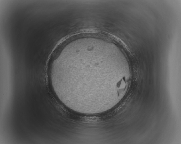 X0000100231168200806201438