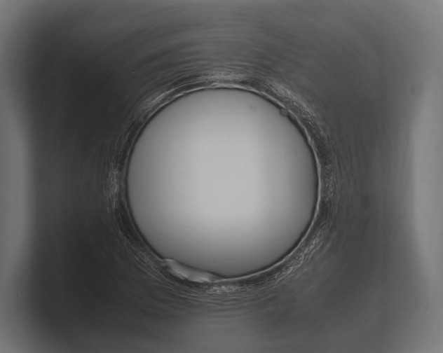 X0000100231169200806201438