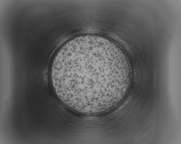 X0000100231170200806201438