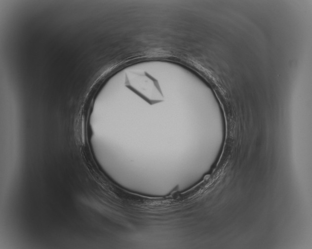 X0000100231171200806201438