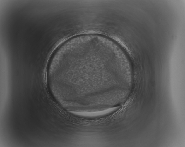 X0000100231173200806201437