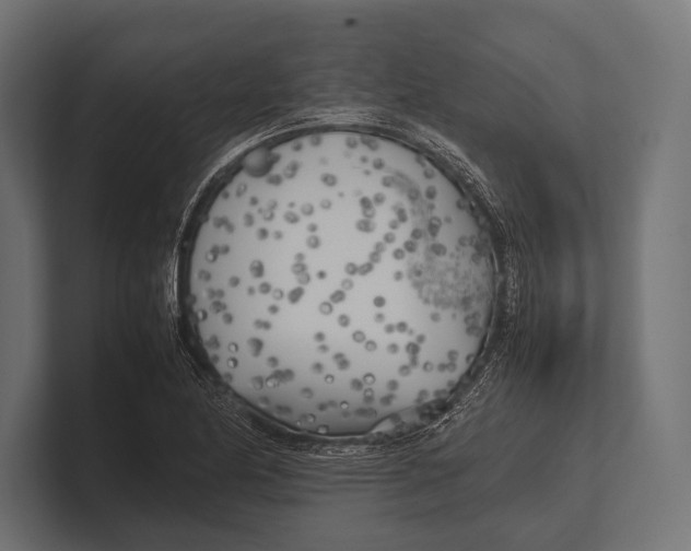 X0000100231174200806201437