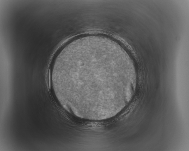 X0000100231175200806201437