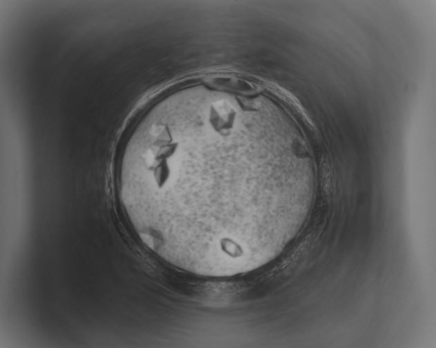 X0000100231176200806201437