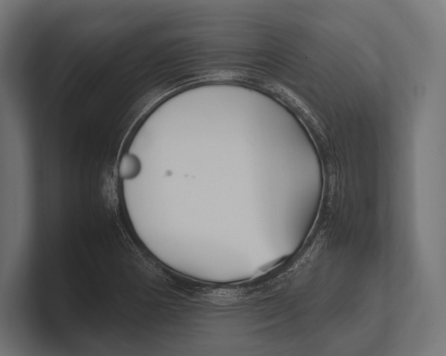 X0000100231178200806201437