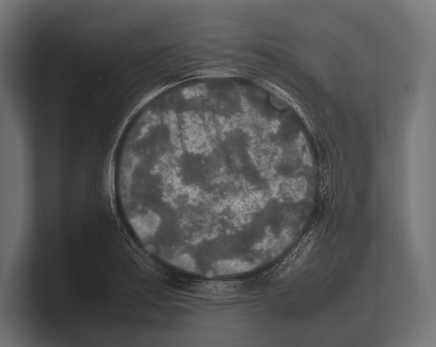 X0000100231179200806201437