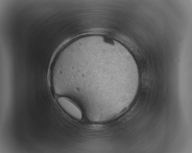 X0000100231180200806201437