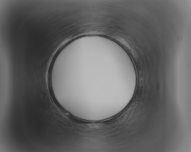 X0000100231181200806201437