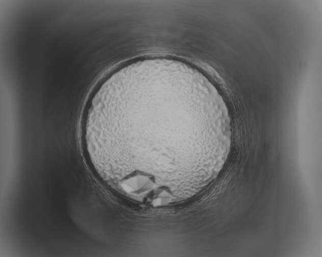 X0000100231183200806201437