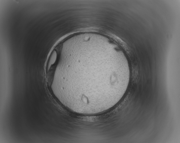 X0000100231184200806201437