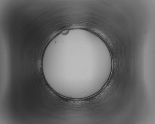 X0000100231185200806201437