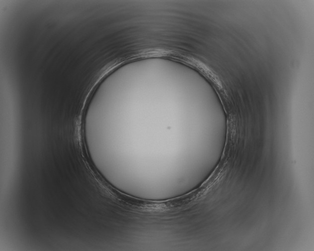 X0000100231186200806201437