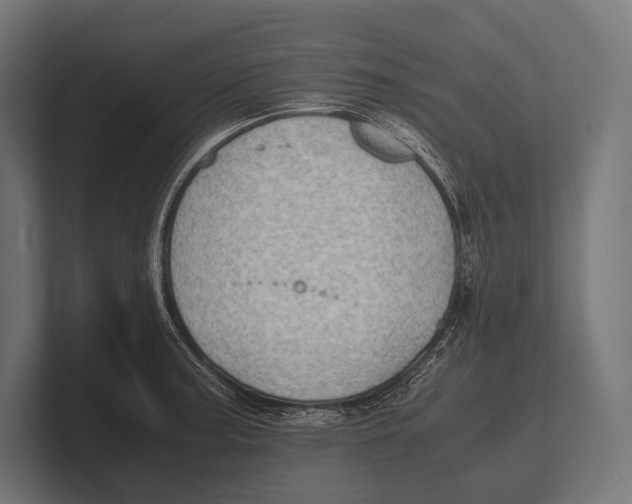 X0000100231187200806201437