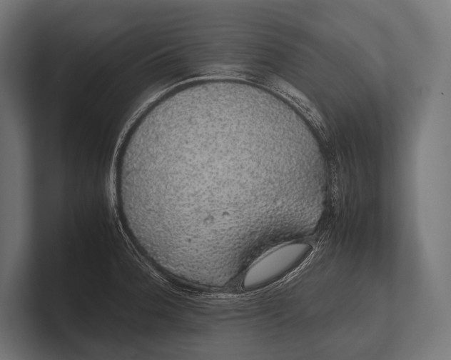 X0000100231188200806201437