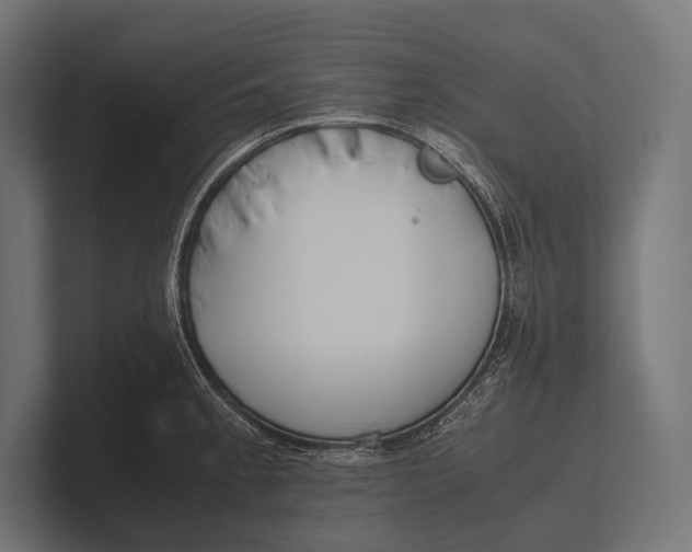 X0000100231189200806201437