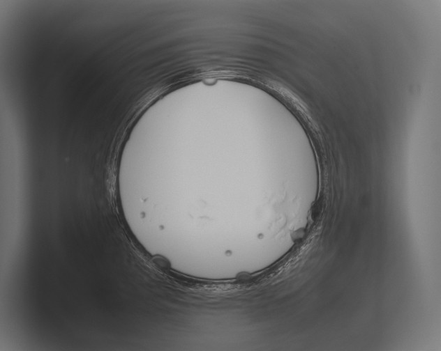 X0000100231193200806201437