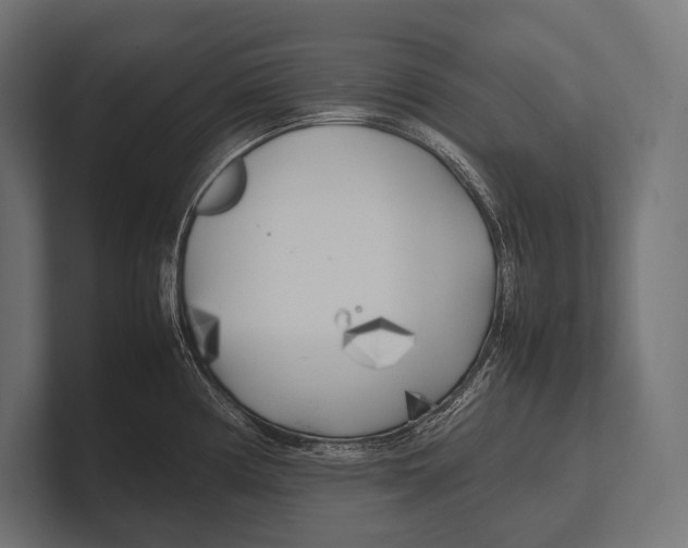 X0000100231194200806201437