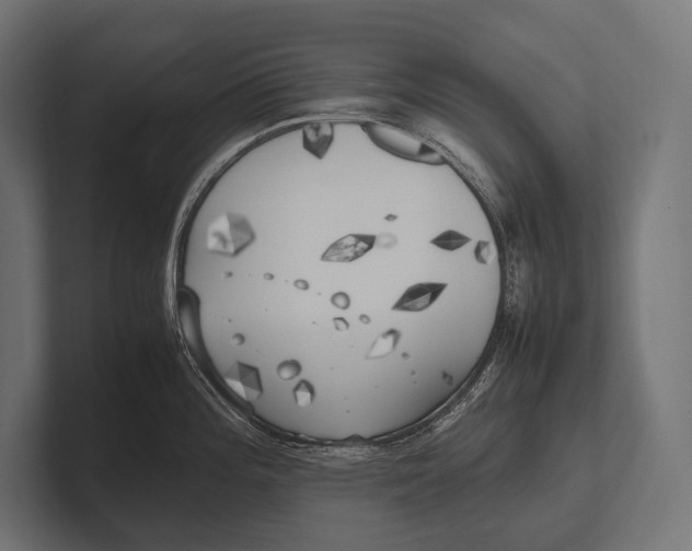 X0000100231196200806201437