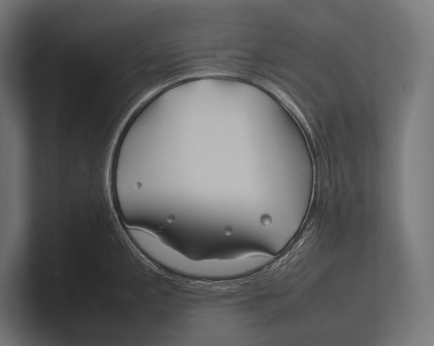 X0000100231197200806201437