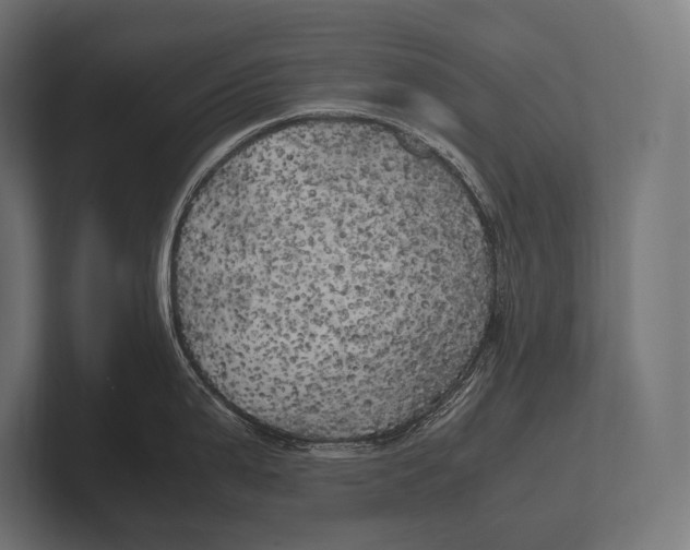 X0000100231199200806201437