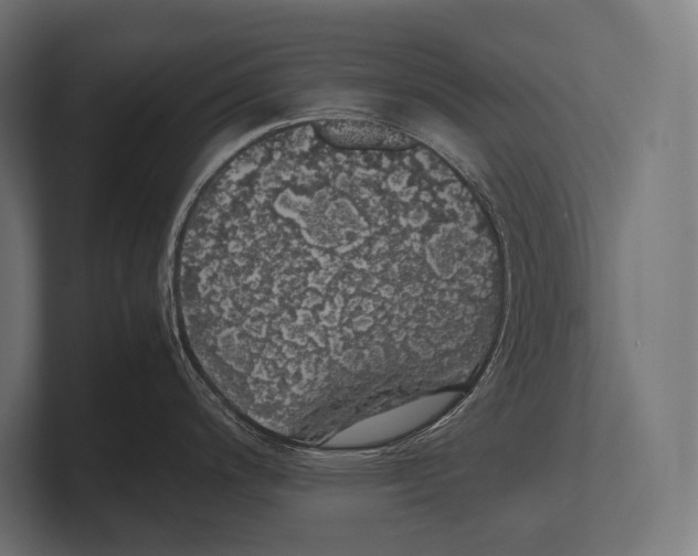 X0000100231200200806201437