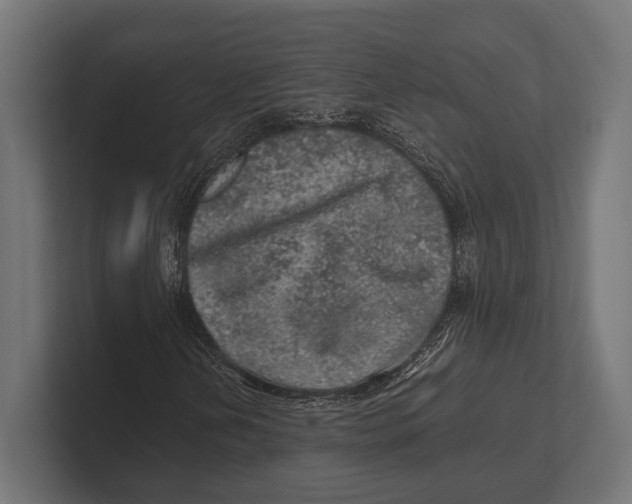 X0000100231202200806201436