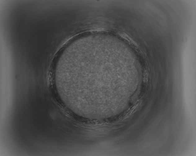 X0000100231208200806201437