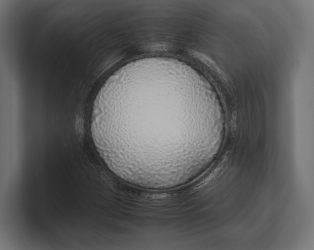 X0000100231209200806201437