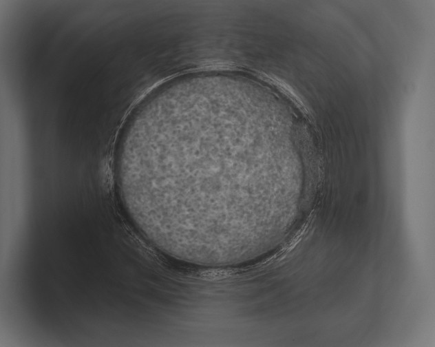 X0000100231212200806201437