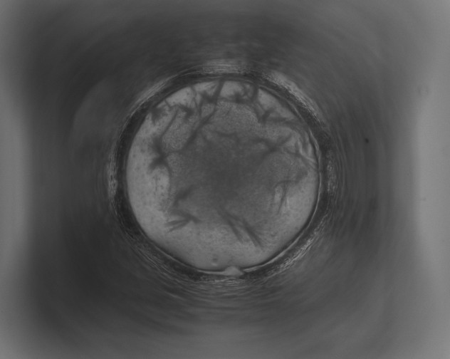 X0000100231213200806201437