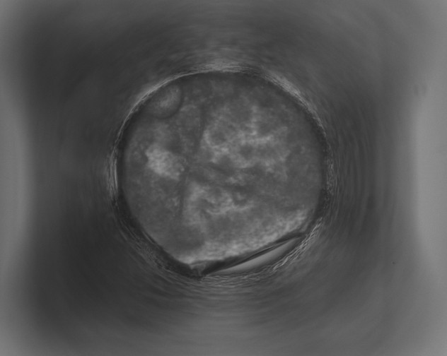 X0000100231214200806201437