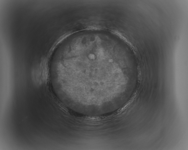 X0000100231215200806201437