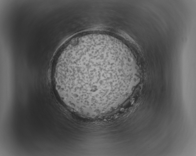 X0000100231216200806201437