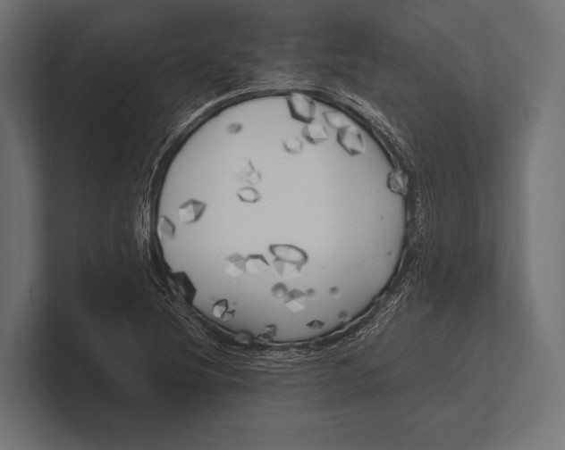 X0000100231220200806201437