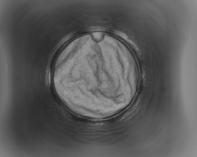 X0000100231221200806201437